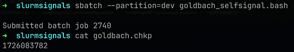 chkpnt2 cnt